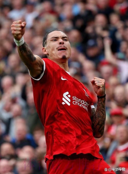 回声报:努涅斯参加利物浦训练 有望出战皇马 回声报:努涅斯参加利物浦训练 有望出战皇马